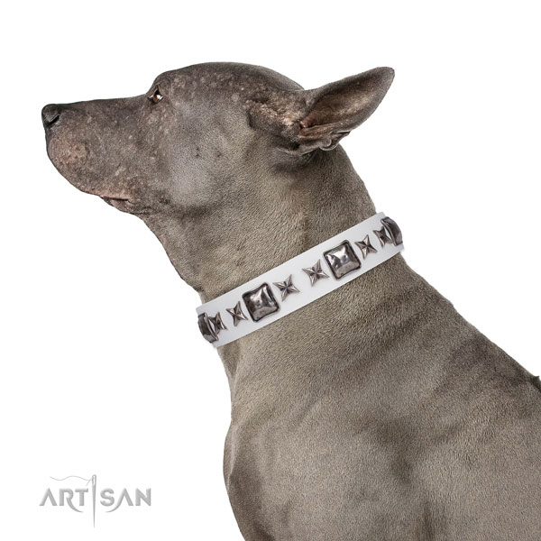 Amazing adorned natural leather dog collar for comfortable wearing
