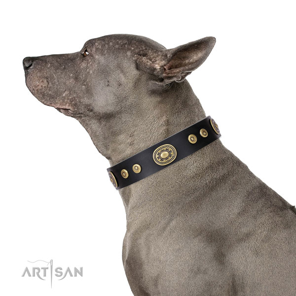 Exceptional decorated genuine leather dog collar for easy wearing