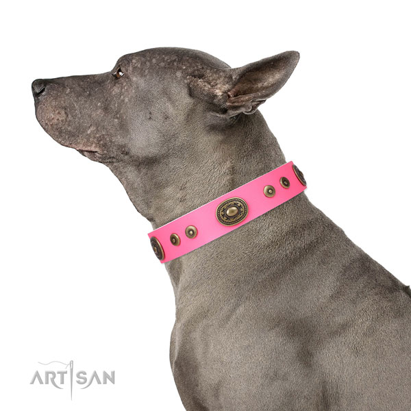 Designer embellished leather dog collar for fancy walking
