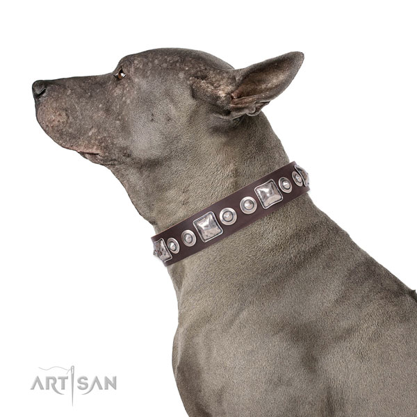 Inimitable decorated genuine leather dog collar for easy wearing