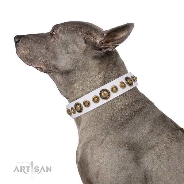 Corrosion resistant buckle and D-ring on full grain leather dog collar for everyday use