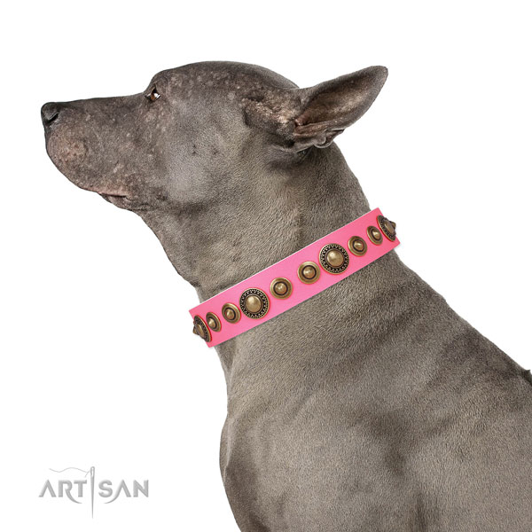 Durable buckle and D-ring on natural leather dog collar for daily use