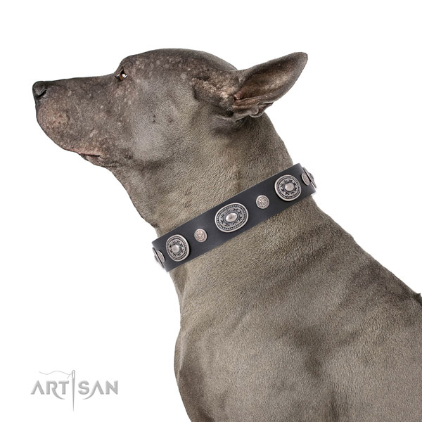 Durable buckle and D-ring on full grain leather dog collar for stylish walking