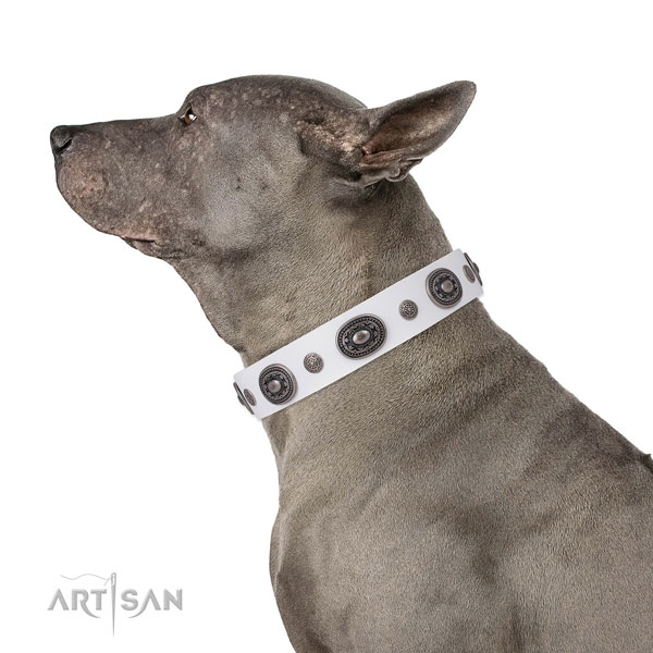 Natural leather dog collar with rust-proof buckle and D-ring for daily use
