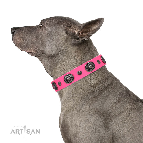 Leather dog collar with rust resistant buckle and D-ring for easy wearing