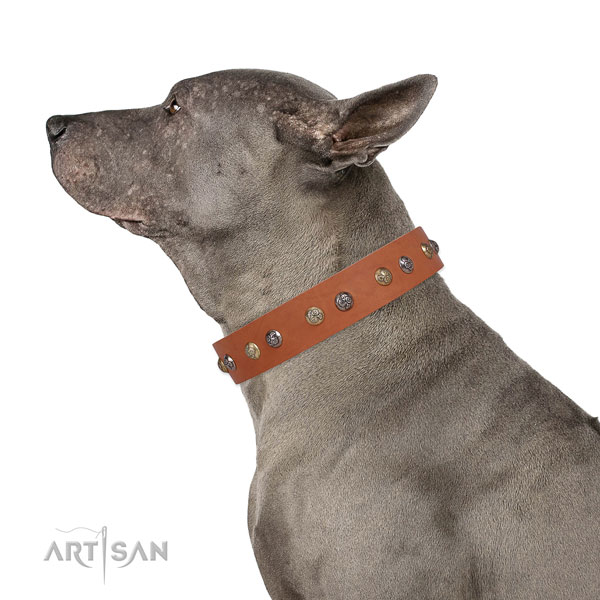 Full grain leather dog collar with reliable buckle and D-ring for handy use