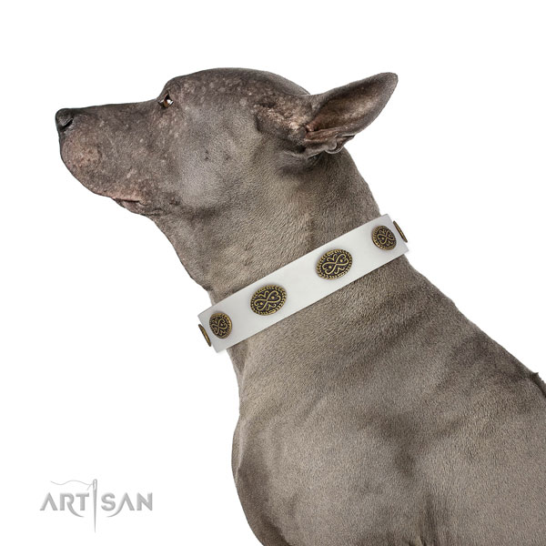 Fashionable decorations on everyday use genuine leather dog collar