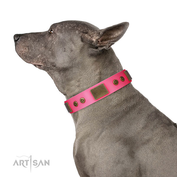 Comfortable full grain natural leather collar for your beautiful four-legged friend