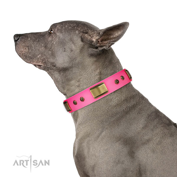 Walking dog collar of natural leather with unique decorations