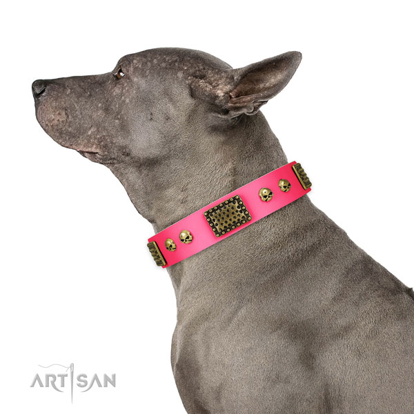 Reliable D-ring on natural leather dog collar for handy use