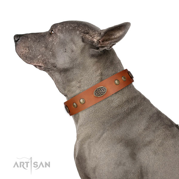 Strong hardware on leather dog collar for daily walking