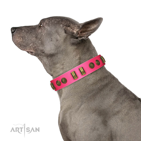 Easy wearing dog collar of natural leather with impressive adornments