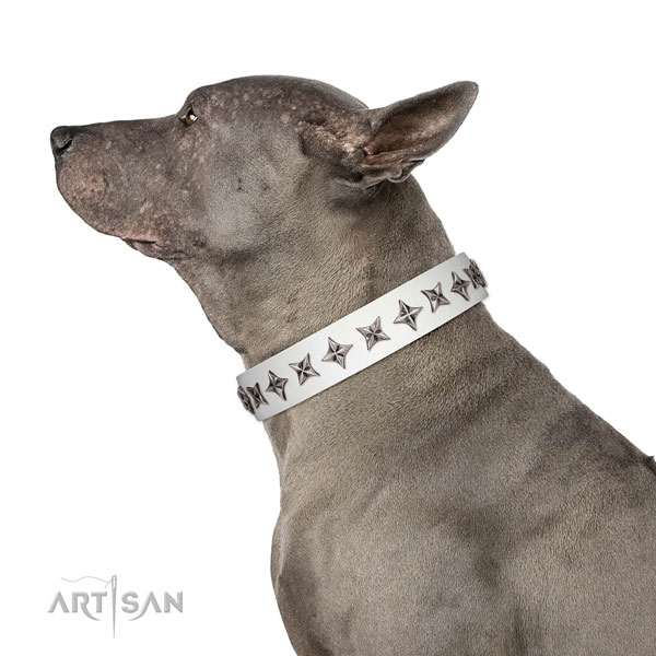 High quality full grain leather dog collar with fashionable studs