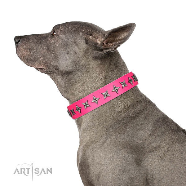 High quality full grain leather dog collar with unusual embellishments