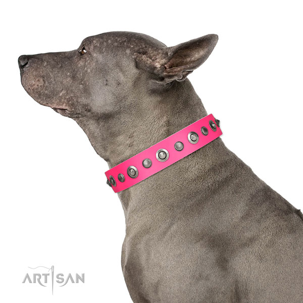 Genuine leather collar with strong fittings for your lovely pet