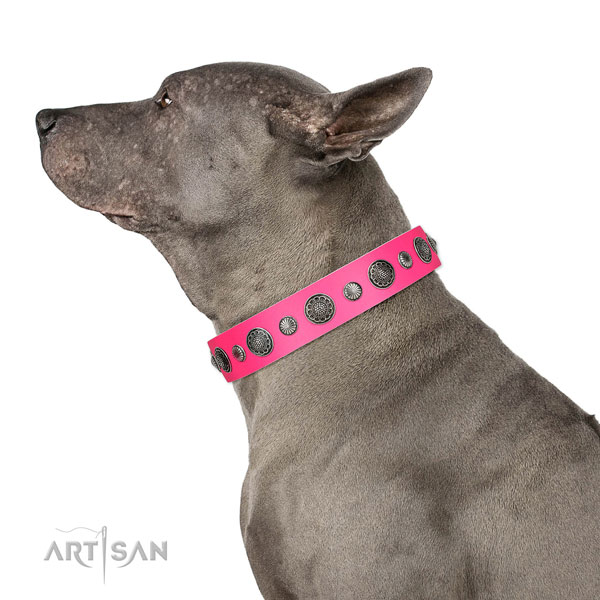 Easy wearing leather dog collar with corrosion proof fittings