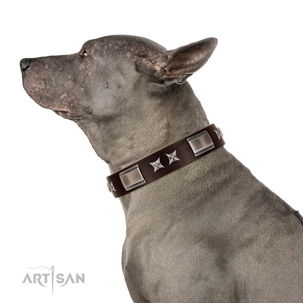 Designer collar of full grain natural leather for your attractive pet