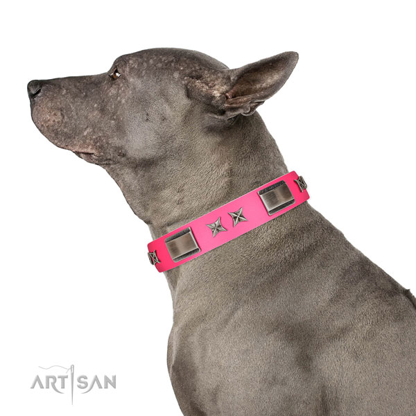 Fashionable collar of natural leather for your four-legged friend