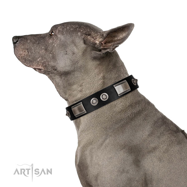 Fashionable collar of leather for your pet