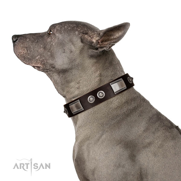 Significant full grain genuine leather collar with decorations for your four-legged friend