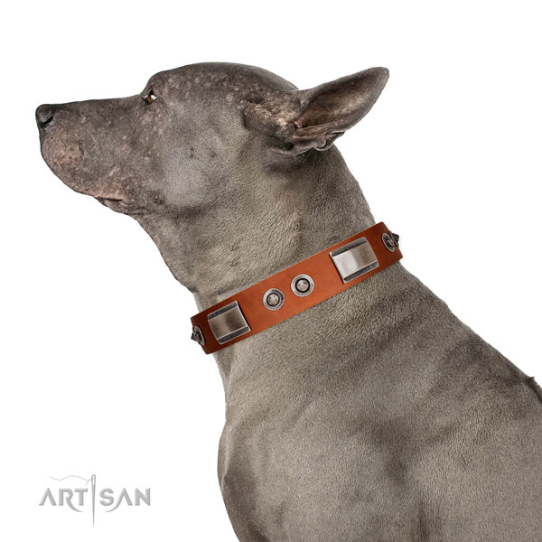 Impressive full grain genuine leather collar with adornments for your pet