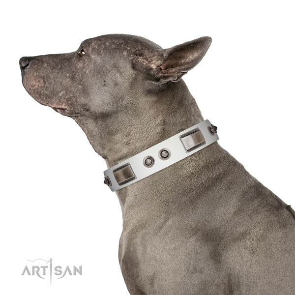 Inimitable full grain natural leather dog collar with decorations
