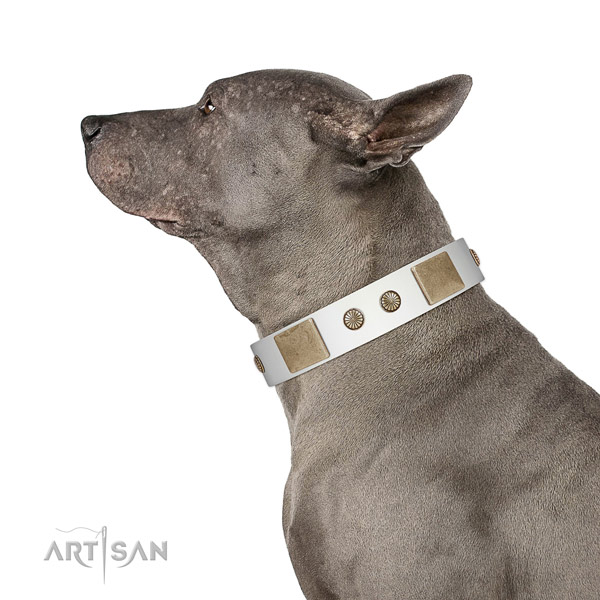 Reliable fittings on full grain genuine leather dog collar for basic training