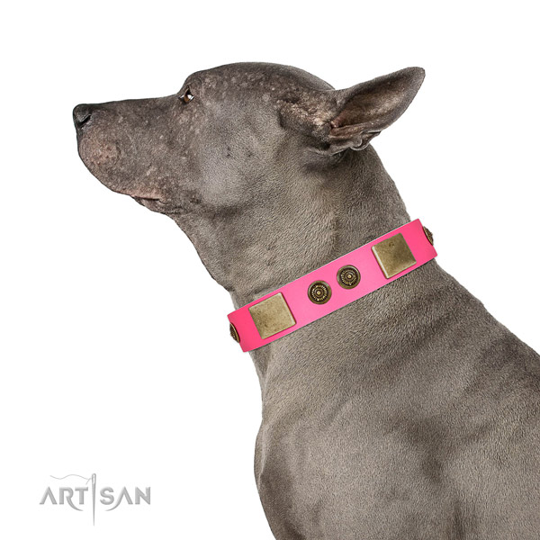 Studded dog collar made for your stylish four-legged friend
