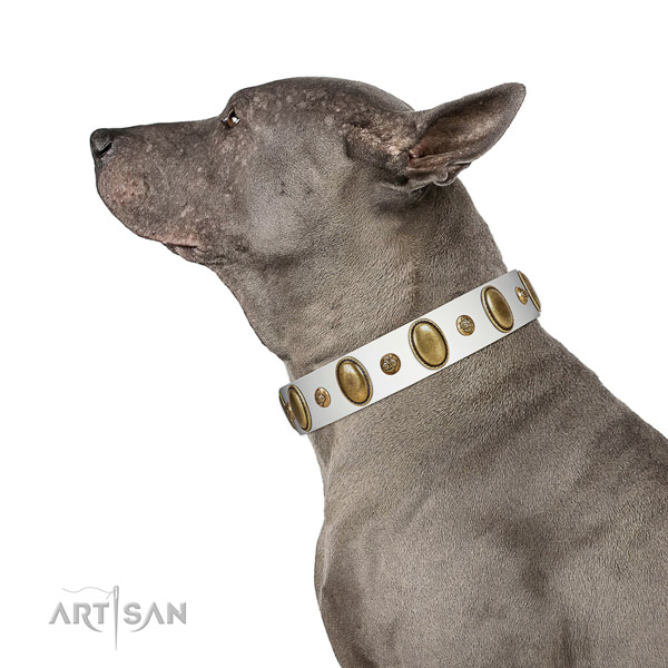 Everyday walking soft to touch genuine leather dog collar with decorations