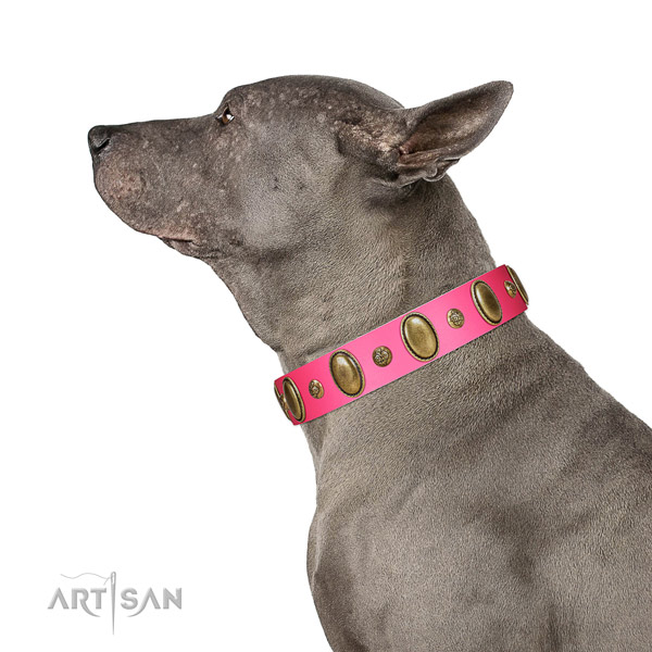Daily walking best quality genuine leather dog collar with studs