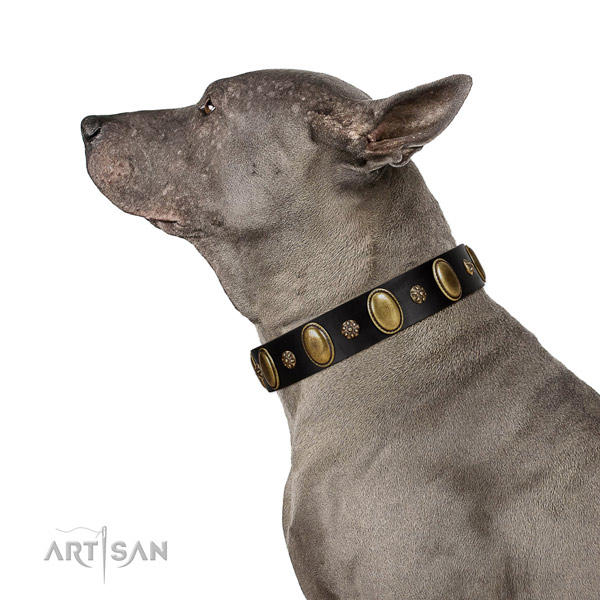 Walking soft full grain natural leather dog collar with studs