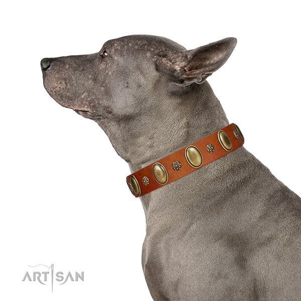 Fancy walking soft to touch full grain natural leather dog collar with decorations