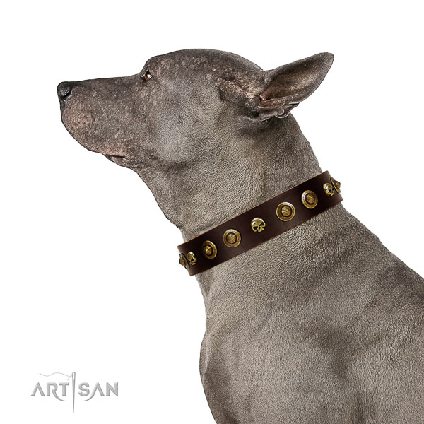 Strong natural leather dog collar with decorations for your canine