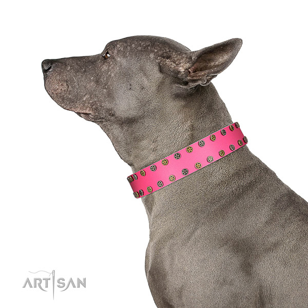 Stylish full grain leather dog collar with adornments