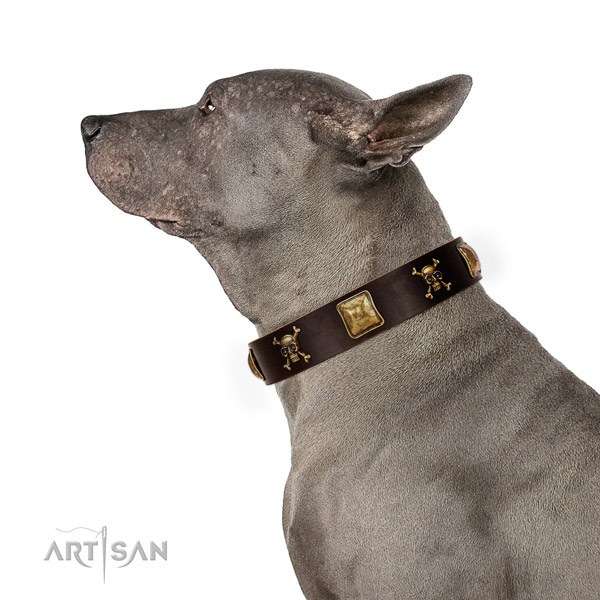 Quality genuine leather dog collar with trendy decorations