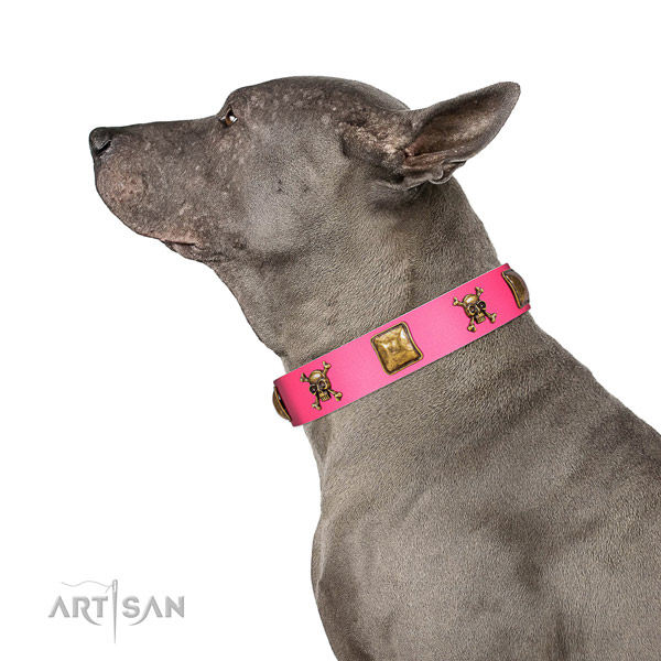Leather dog collar with impressive adornments for handy use