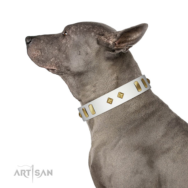 Comfy wearing best quality leather dog collar with studs