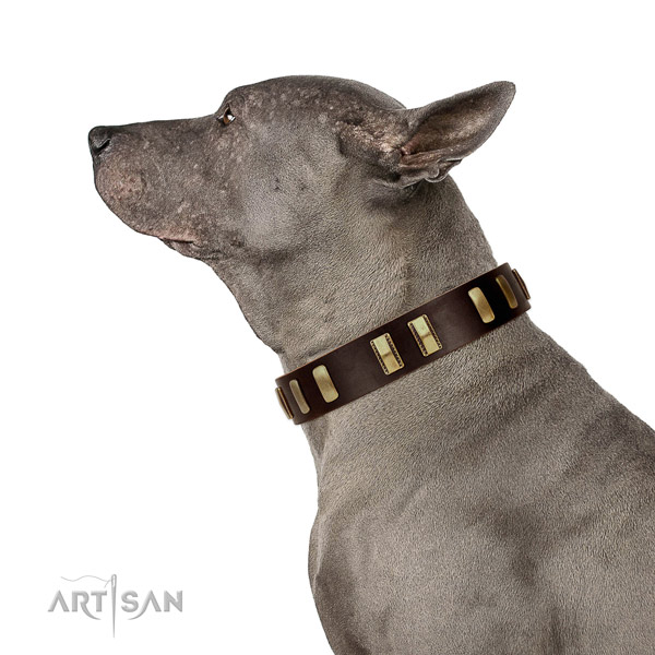 Full grain leather dog collar with unusual adornments for comfy wearing