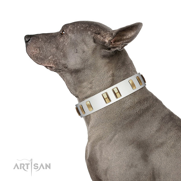 Full grain leather dog collar with unusual studs for comfortable wearing