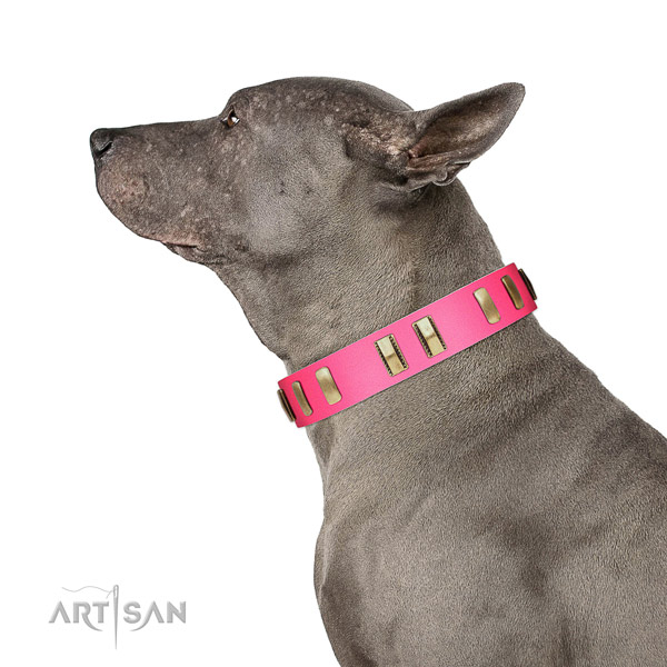 Genuine leather dog collar with stylish design studs for daily walking