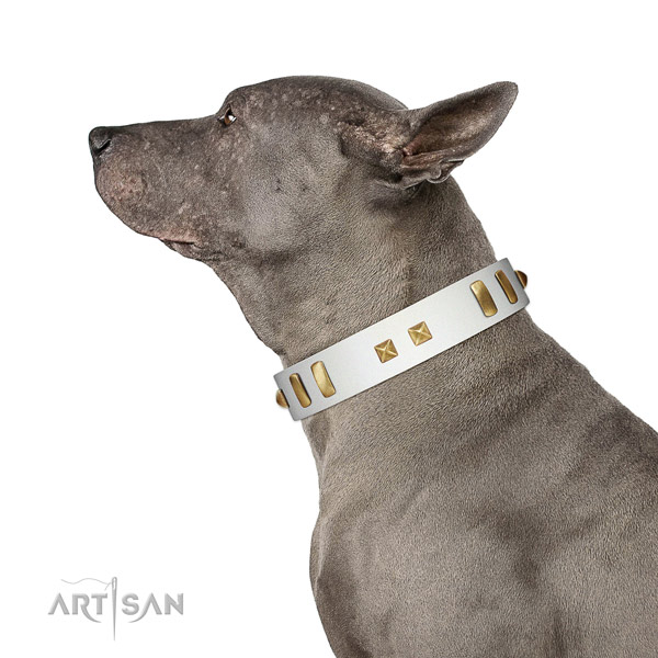 Top notch adorned natural leather dog collar of best quality material