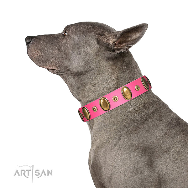 Rust-proof decorations on soft to touch full grain leather dog collar