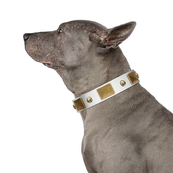High quality natural leather dog collar handcrafted of genuine quality material