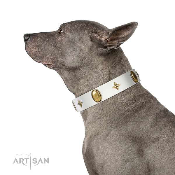 Gentle to touch natural leather collar with designer embellishments for your dog