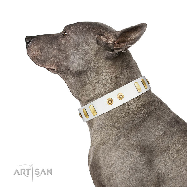 Exquisite embellished full grain natural leather dog collar of gentle to touch material