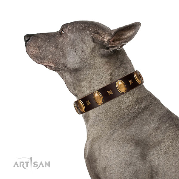 Quality genuine leather dog collar handmade of genuine quality material