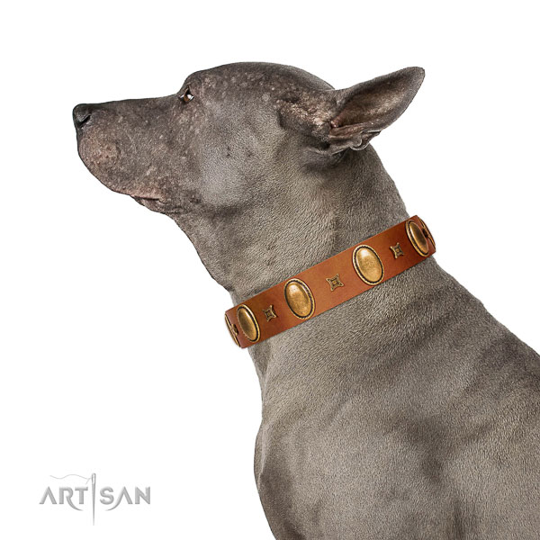 Trendy embellished natural leather dog collar of soft material