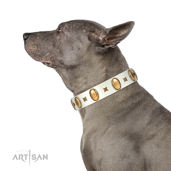 Stunning decorated full grain genuine leather dog collar of gentle to touch material