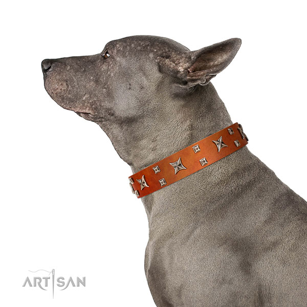 Strong natural leather dog collar crafted of genuine quality material