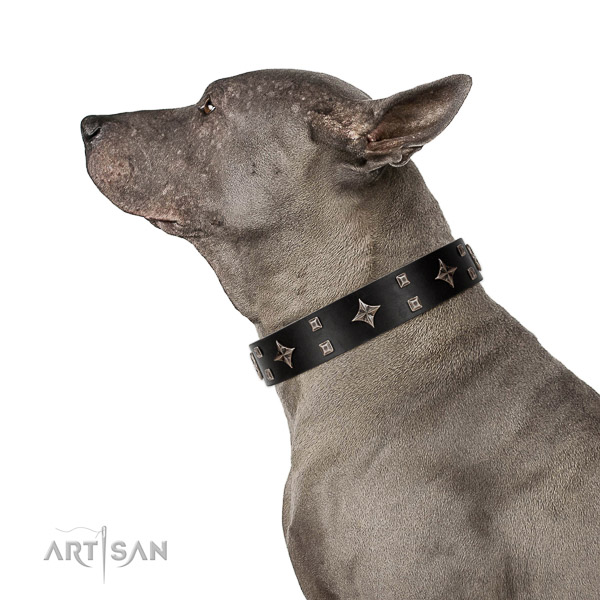 Full grain genuine leather dog collar of top rate material with significant adornments